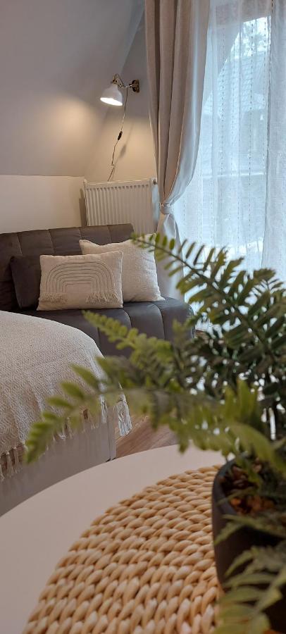 Willa Cyrek Zakopane Ngoại thất bức ảnh