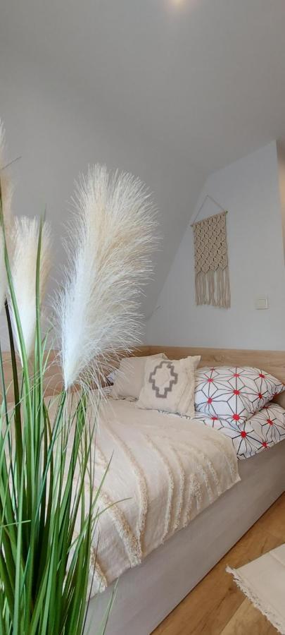 Willa Cyrek Zakopane Ngoại thất bức ảnh
